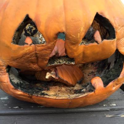 12249645_1025679767494886_731124480320225556_n