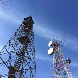 12313641_1034475689948627_7274260271079320918_n